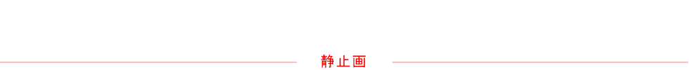 静止画